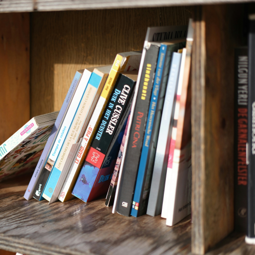 Libros de Bellas Artes Libros de Bellas Artes