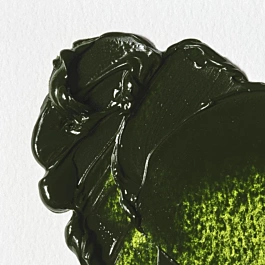 Tubo de tinta de óleo 599 Bladder Green S1 Winton Winsor e Newton 200ml