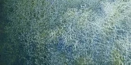 Horadam superkorrelige aquareltube Prairieblauw 934 S.3 Schmincke 15ml