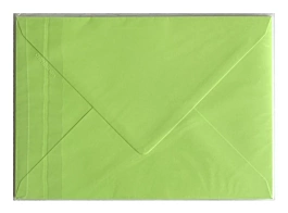 Set de 5 sobres brote verde Clairefontaine 162x229mm
