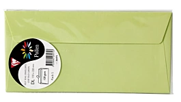 Set 5 enveloppes bourgeons verts 110x220mm Clairefontaine