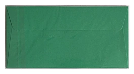 Set 5 enveloppes forêt verte 110x220mm Clairefontaine