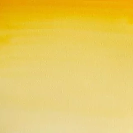 Aquarelle médium godet 266 Gutagamba S1 Cotman Winsor and Newton