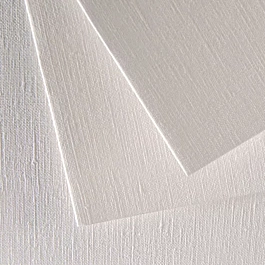 Canson Figueras Papier 290g/m² 65x100cm