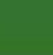 Fluid Pigment Verde Pebeo 20ml