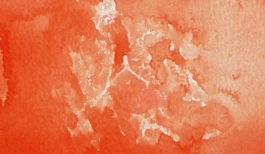 Aguarela japonesa gigante Godet 31 Cadmium Scarlet Gansai Tambi Kuretake