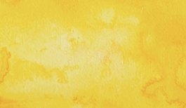 Aguarela japonesa gigante Godet 43 Amarelo cádmio Gansai Tambi Kuretake