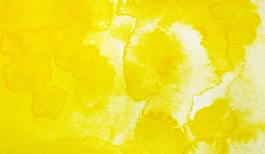 Godet gigante Aguarela japonesa 404 Amarelo açafrão Gansai Tambi Kuretake