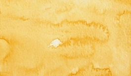 Aguarela japonesa gigante Godet 44 Amarelo Ocre Gansai Tambi Kuretake