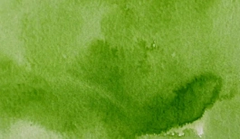 Aguarela japonesa gigante Godet 51 Verde-salva claro Gansai Tambi Kuretake