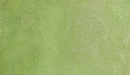 Aguarela japonesa gigante Godet 751 Verde pérola maio Gansai Tambi Kuretake
