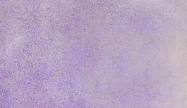 Aguarela japonesa gigante Godet 861 Violet Gem Gansai Tambi Kuretake
