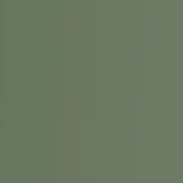 Lápiz Chromaflow 1802 Light Olive Derwent