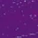 Van Gogh Oil Paint Tube 536 Violet 40ml