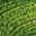 Van Gogh Oil Paint Tube 40ml 623 Balloon Green