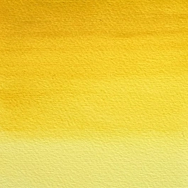 Aquarelle godet 417 Aureoline teinte S2 Professional Winsor and Newton