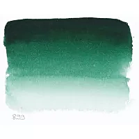 Aquarela godet médio 899 Green Jungle S.1 Sennelier
