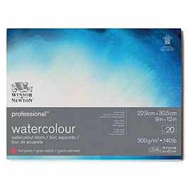 SUPER DEAL **40%** Winsor and Newton Professional Watercolour Pad Glued 4 Sides Hot Pressed 18x25cm 300g/m²