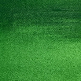 Médium aquarelle godet Vert cinabre S2 Professionnel Winsor et Newton