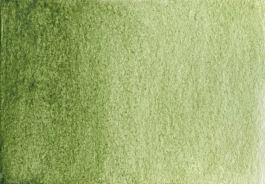 Akwarela Green earth, warm S1 Półkostka A. Gallo
