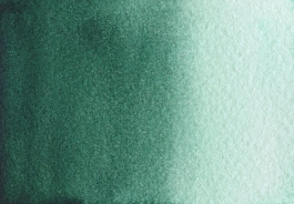 Akwarela Forest Green S2 Półkostka A. Gallo