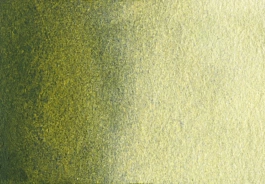 Akwarela Olive green, deep S2 Półkostka A. Gallo