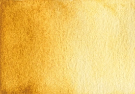 Akwarela Raw sienna S1 Półkostka A. Gallo