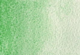 Akwarela Victoria Green S2 Półkostka A. Gallo