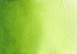 Akwarela Sap green S3 Półkostka A. Gallo