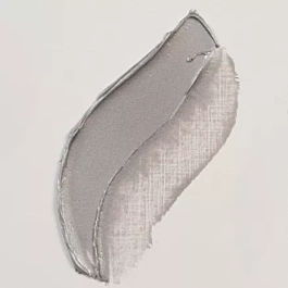 Óleo 800 Plata Rembrandt 40ml S3