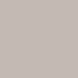 Acryl tube 438 Pale Shadow Earth S1 Gallery Winsor and Newton 120ml
