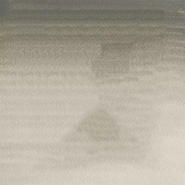 Aquarelle moyenne godet 217 Davy Grey S1 Professional Winsor and Newton