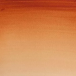 Aquarelle moyenne godet 074 Tan sienna fond S1 Cotman Winsor and Newton