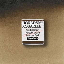 Schmincke Horadam Aquarell Halb Godet Vandyckbraun 669 