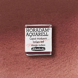 Schmincke Horadam Aquarell Halb Godet Caput Mortuum 645 