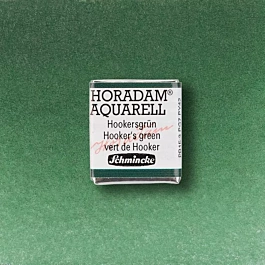 Schmincke Horadam Aquarell Halb Godet Hookersgrün 521 