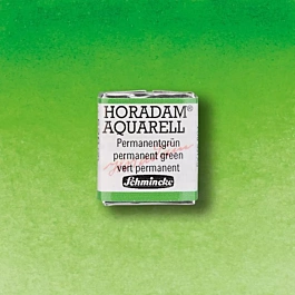 Schmincke Horadam Aquarell Halb Godet Permanentgrün 526 
