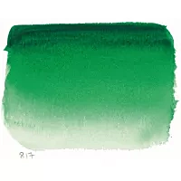 Aquarela godet médio 817 Verde Sennelier S.1 Sennelier