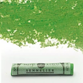 Pastello À L'écu 229 Sennelier Verde Cromo