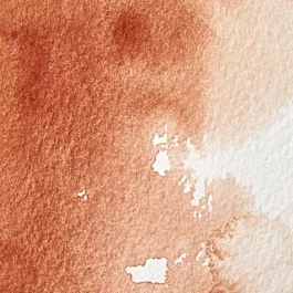 Water colour tube 074 Burnt Sienna S1 Professional Winsor and Newton 5ml