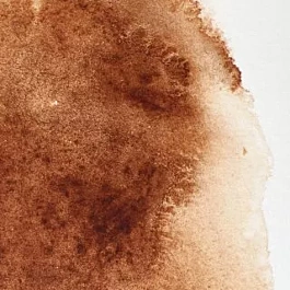 Watercolour tube 076 Burnt Umber S1 Professional Winsor and Newton 5ml