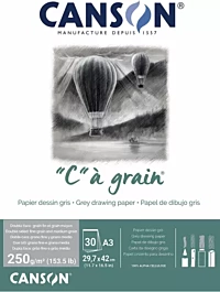 Canson A3 250g/m² Feinkörnig Grau Farbiger Skizzenblock "C" à Grain Geklebt 1 Seite Feinkörnig Grau