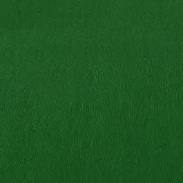 Rollo Papel Crespón 50 Verde Helecho Canson 50x250cm 60g/m²