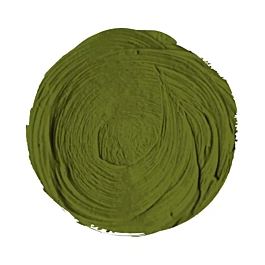 Acrylique Extrafine Acrylique Cinnabar Green Toasted nº89 S2 Titan 60ml