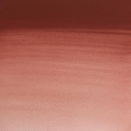 Aquarelle godet 317 Indian Red S1 Professional Winsor and Newton