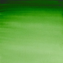 Aquarelle moyenne godet 311 Hooker S1 Professional Green Winsor and Newton