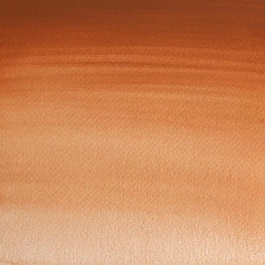 Aquarelle godet 381 Magnesium Brown S1 Professional Winsor and Newton