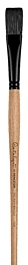 Princeton Paint Brush 6400 Flat Long Hair Long Handle Catalyst nº6