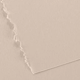 Papier à graver Canson Edition vanille 250g/m² 50x65cm
