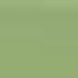 SUPER OFERTA **40%** Lápis de aguarela 42 Juniper Green da Derwent